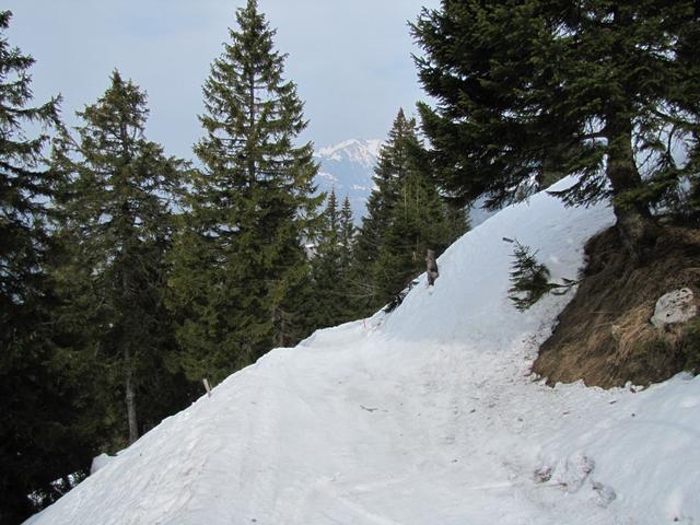 bei Punkt 1465 m.ü.M. links am Fellboden vorbei