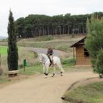 beim Park San Miguel kommen uns stolze Pferde und Reiter entgegen
