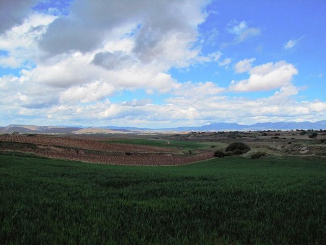 am Horizont taucht Nájera auf