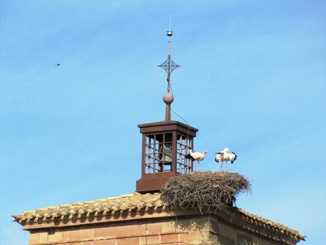 Storchennester auf dem Kirchturm