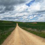 einfach wunderschön der Weg nach Santo Domingo de la Calzada