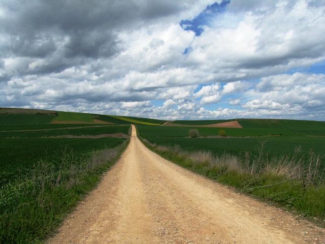 einfach wunderschön der Weg nach Santo Domingo de la Calzada