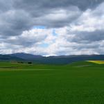 am Horizont das schneebedeckte Gebirge der Sierra de la Demanda