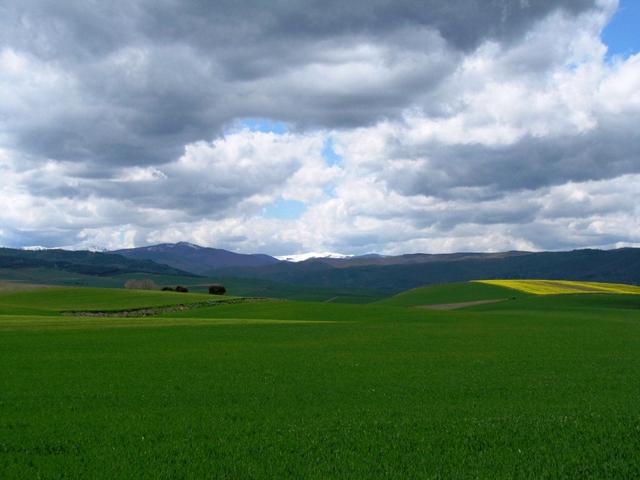 am Horizont das schneebedeckte Gebirge der Sierra de la Demanda