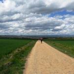 am Horizont taucht Santo Domingo de la Calzada auf