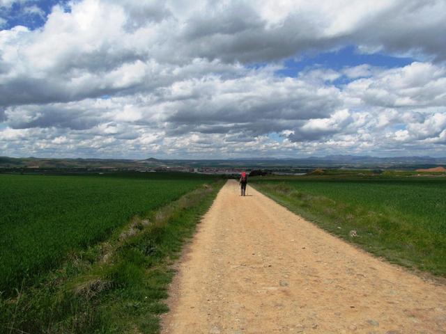 am Horizont taucht Santo Domingo de la Calzada auf