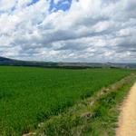 Breitbildfoto mit Blick auf die ausgedehnte Ebene der Rioja Alta