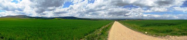 Breitbildfoto mit Blick auf die ausgedehnte Ebene der Rioja Alta