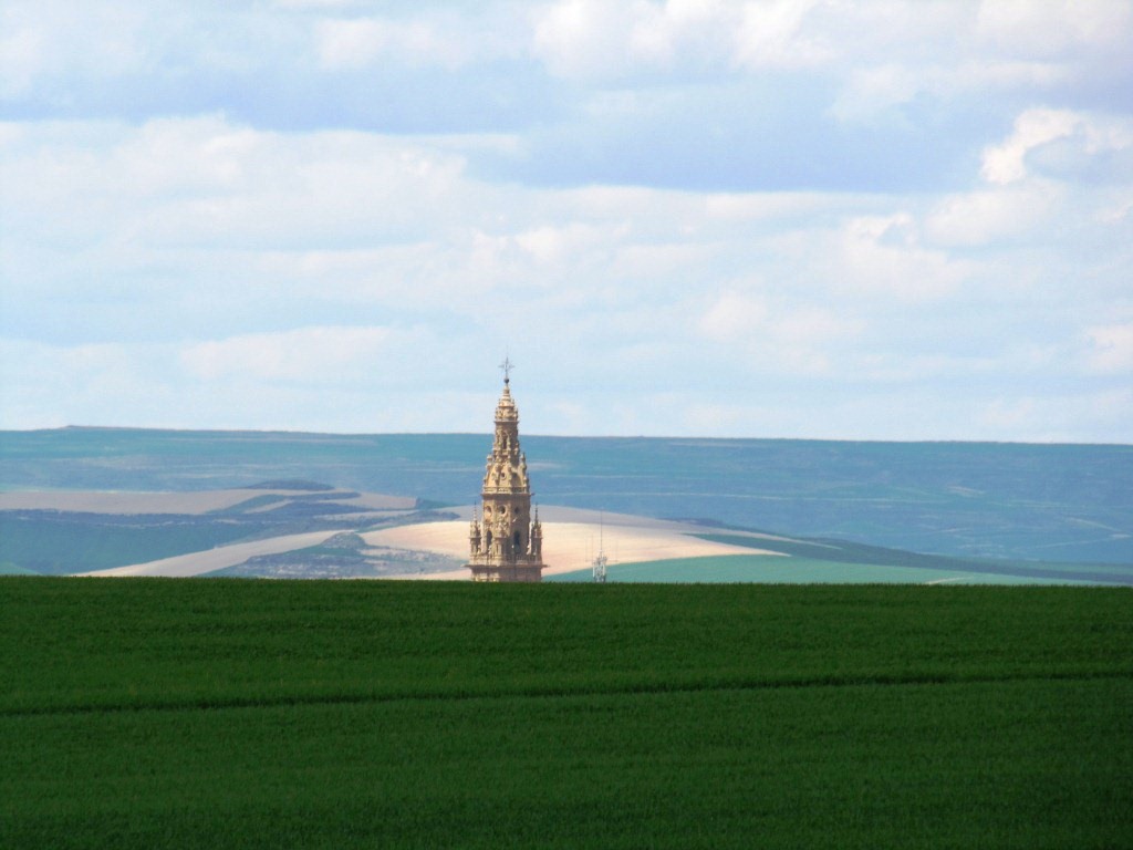 der wunderschöne Kirchturm der Kathedrale von Santo Domingo de la Calzada taucht hinter den Weizenfelder auf