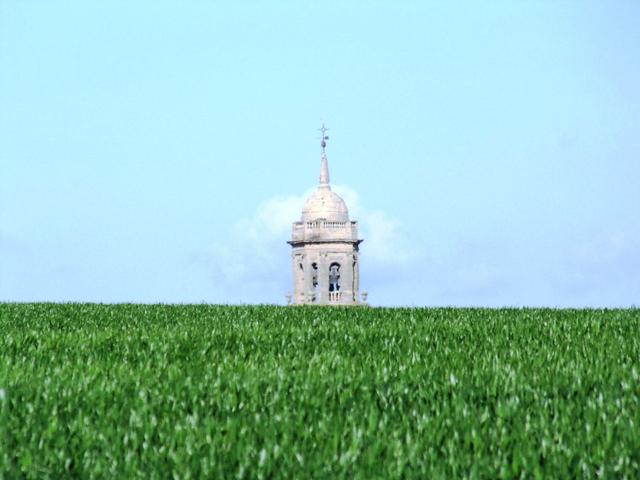 der Kirchturm der Iglesia de San Juan Bautista von Grañón taucht hinter dem Weizenfeld auf