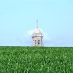 der Kirchturm der Iglesia de San Juan Bautista von Grañón taucht hinter dem Weizenfeld auf