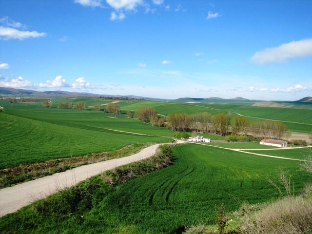 unser nächstes Ziel lautet nun Redecilla del Camino