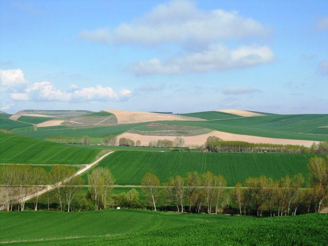 auch heute wieder ein schöner Tag. Was für eine Aussicht von Grañón aus gesehen