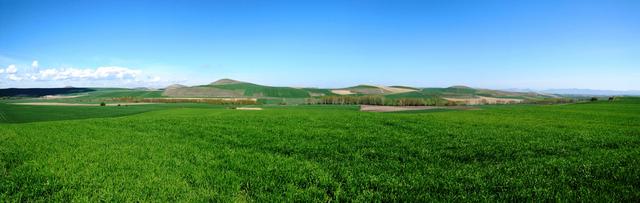 Breitbildfoto mit Blick Richtung Redecilla del Camino