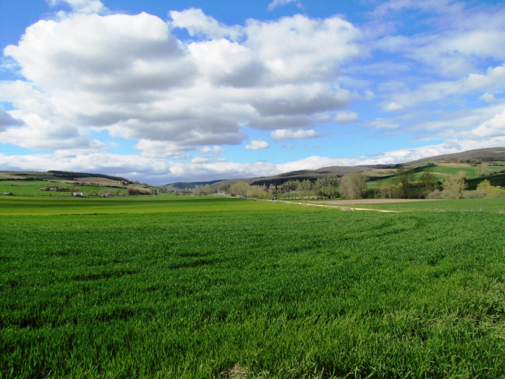 Blick Richtung Villafranca-Montes de Oca