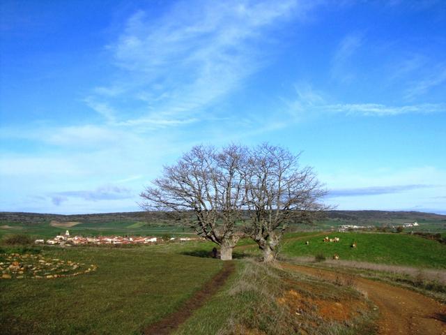 wir haben den Wald verlassen und blicken Richtung Agés. Wetter schön aber kalt