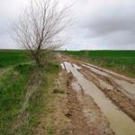 über morastige und schlammige Feldwege geht es weiter Richtung Burgos