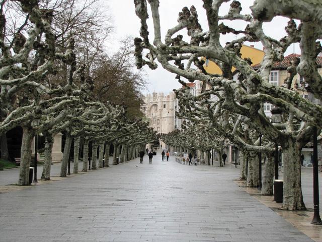 über den Paséo del Espolon erreichten wir die Altstadt von Burgos