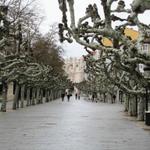 über den Paséo del Espolon erreichten wir die Altstadt von Burgos