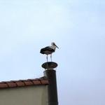 dort oben sollte der Storch kein Nest bauen