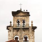 Kirchturm der Kirche San Pedro de la Fuente ist von Störchen belagert