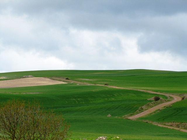 wir haben die Meseta erreicht, eine Hochebene die kaum von Bäumen bewachsen ist