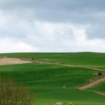 wir haben die Meseta erreicht, eine Hochebene die kaum von Bäumen bewachsen ist