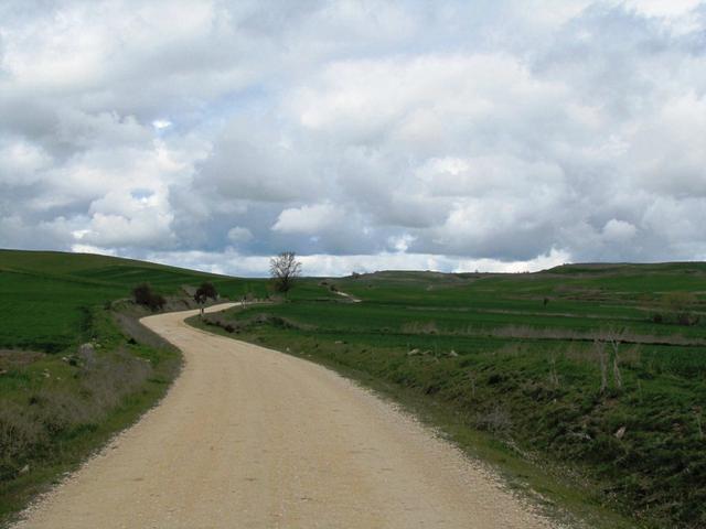 der Camino schlängelt sich durch die topfebene Meseta