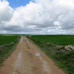 Breitbildfoto der Meseta vor Hornillos del Camino