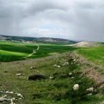 Breitbildfoto mit Blick auf die Ebene und auf Hornillos del Camino