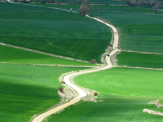 der schöne Weg, der nach Hornillos del Camino führt