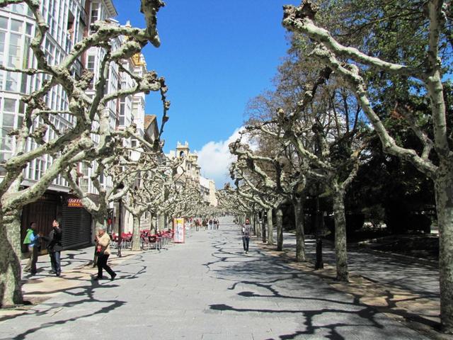 der Paseo del Espolón ist die Promenade schlechthin. Hier heisst es "sehen und gesehen werden"