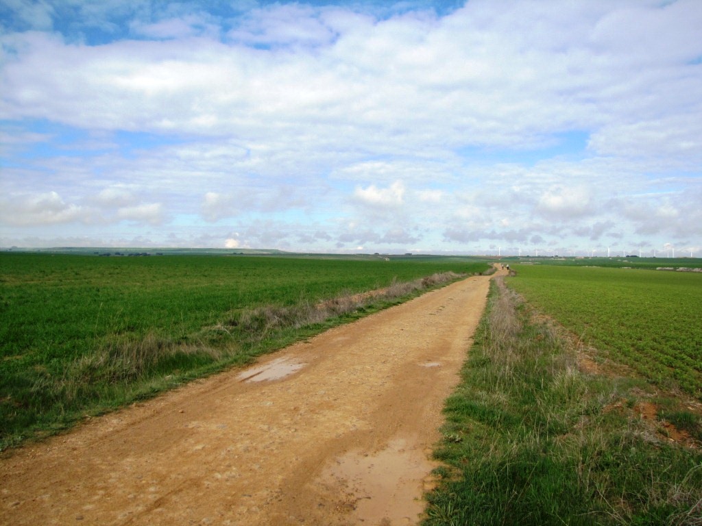 hier lernten wir die Einsamkeit der kastilischen Meseta kennen, ein starker Kontrast zum Touristenrummel in Burgos