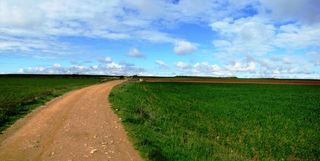 wunderschönes Breitbildfoto der Meseta kurz vor Hontanas