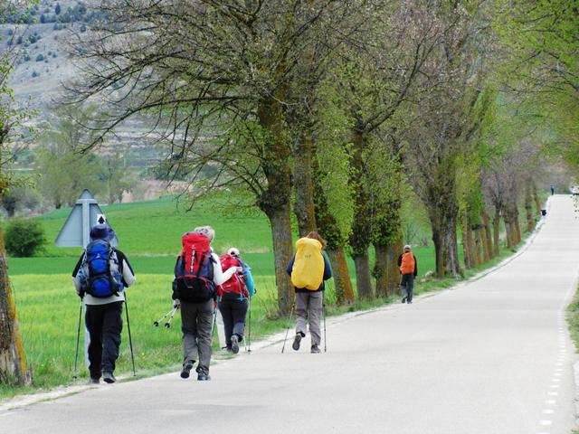 unsere Pilgergruppe auf dem Weg nach Castrojeriz