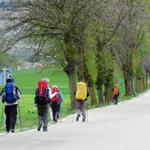 unsere Pilgergruppe auf dem Weg nach Castrojeriz