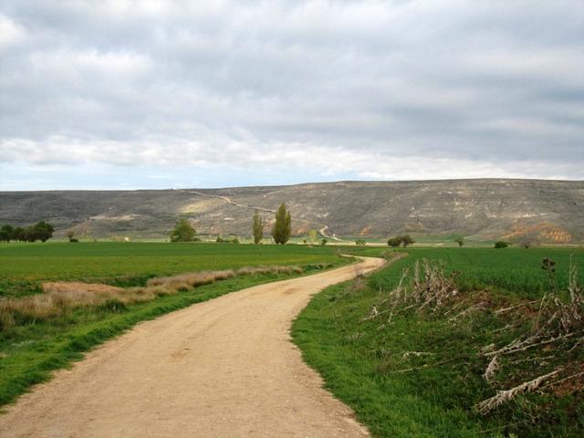 wir haben Castrojeriz verlassen und laufen nun mit Blick auf den Alto de Mostelares nach Frómista