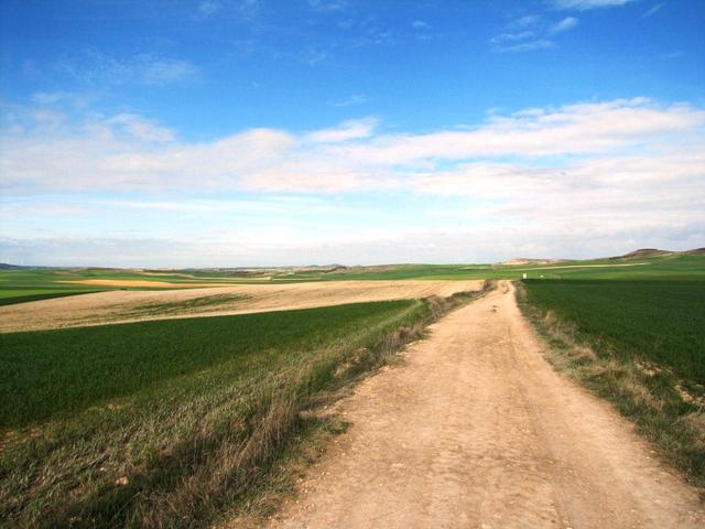 auf dem Weg zur Fuente del Piojo (Lausquelle)