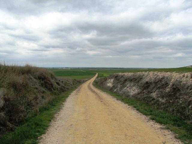 schnurgerade führt der Camino der Ebene entlang Richtung Boadilla del Camino