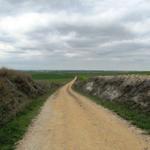 schnurgerade führt der Camino der Ebene entlang Richtung Boadilla del Camino