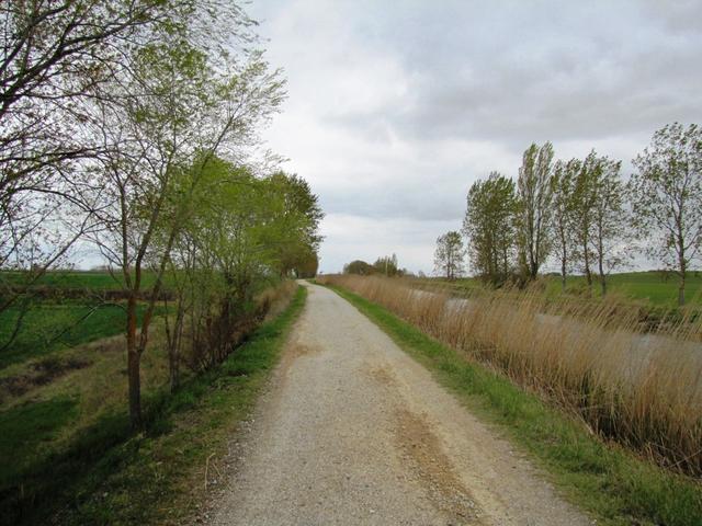 heute ist der Kanal Hauptbewässerungskanal der Region und wichtiges Brut- und Rückzugsgebiet für Vögel