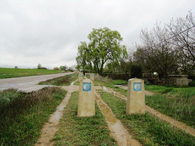 nach Poblacíon de Campos betreten wir die "Pilgerautobahn" die uns bis nach Carrión de los Condes führen wird