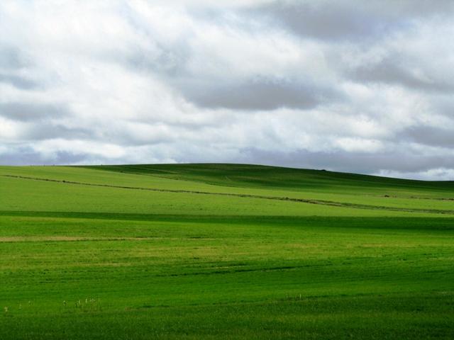 die Tierra de Campos war früher einmal abwechlungsreicher. Die Flurreform hat riesige Weizenfelder  geschaffen