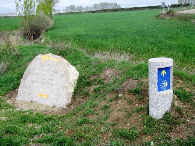 hier beginnt die berühmte "Via Acquitania". 12km wie vom Lineal gezogen, alles geradeaus