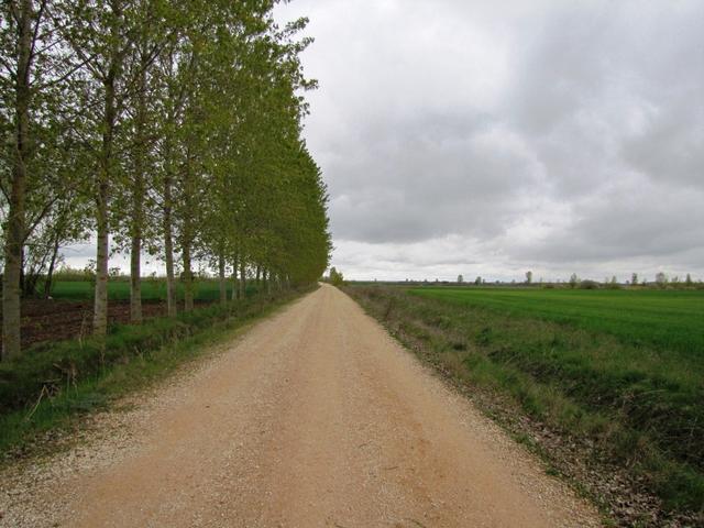 Meseta pur! Das nun folgende Stück gehört zu den härtesten vom Camino