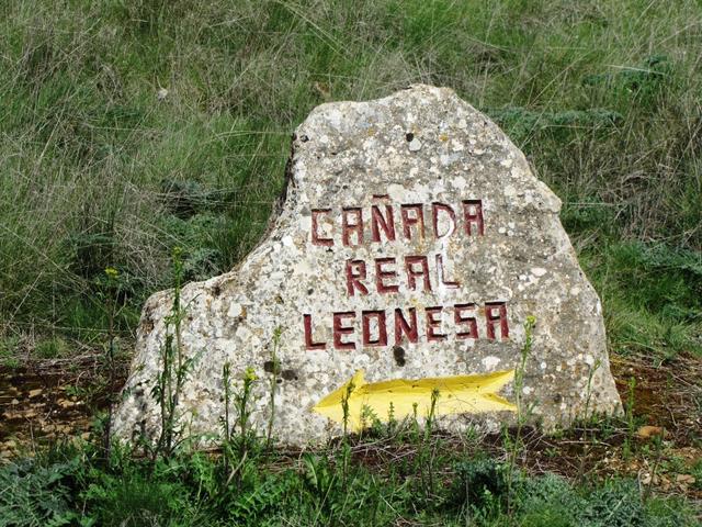 wir kreuzen die "Cañada Real Leonesa Oriental", einen jahrhundertealten Weideweg, der von Andalusien...