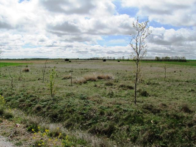 bis in den Norden von León führt. Dieser Weideweg, stand unter besonderem königlichem Schutz