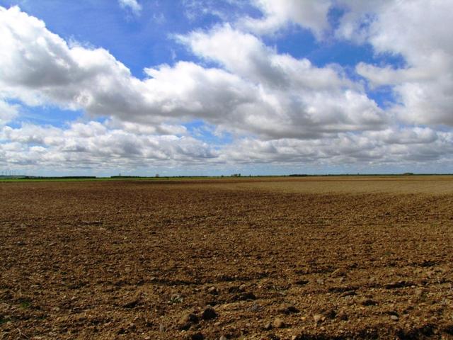 wir befinden uns immer noch in der Tierra de Campos