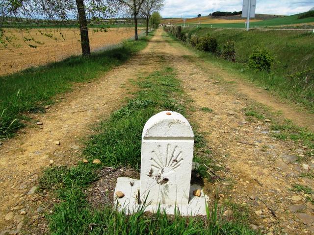 wir haben Ledigos verlassen und befinden uns nun auf dem Weg nach Terradillos de los Templarios