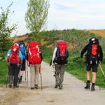 mit unseren Freunden verlassen wir Terradillos. Eine lange Etappe steht uns bevor